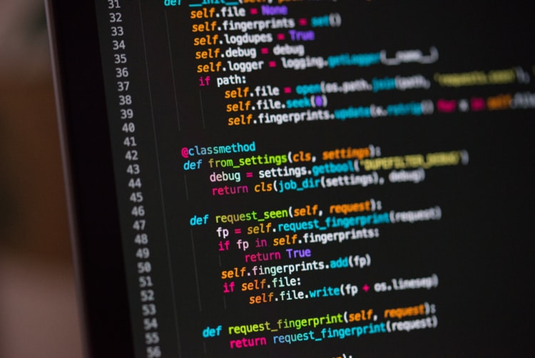 Website design and hosting